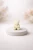 czatGpt1_mis.webp
