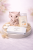 ChatGPT Image 26 mar 2026, 19_54_58.png